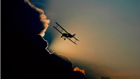 Weekly Report / June 4th