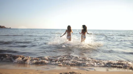 Weekly Report / July 30