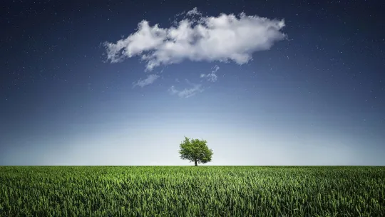 “The best time to plant a tree was 20 years ago” — Chinese proverb.