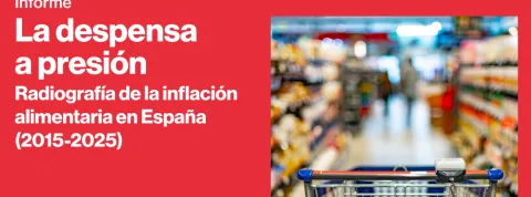 Presentación del Informe "La despensa a presión. Radiografía de la inflación"