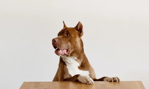 the future starts today